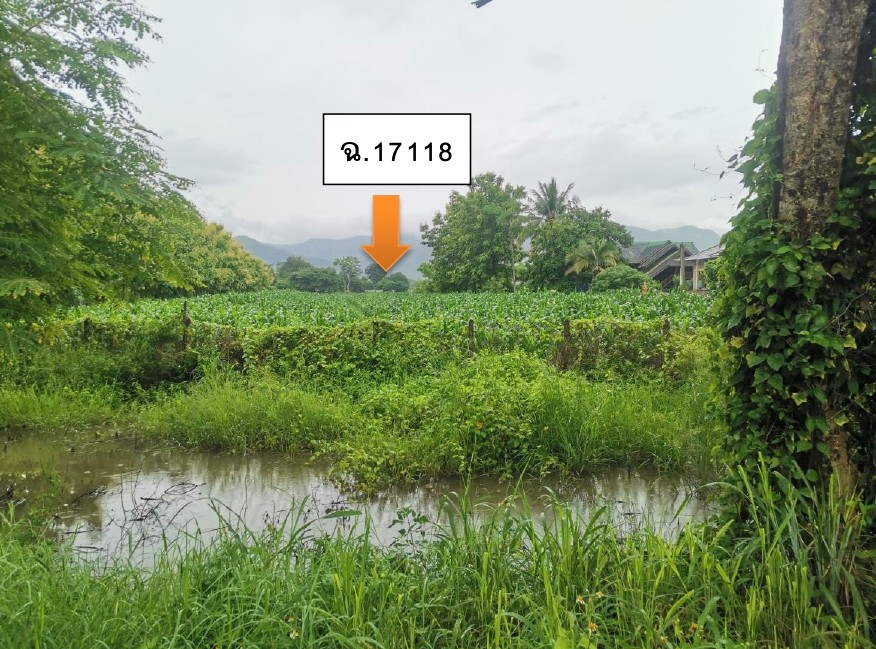 รูปที่ดินว่างเปล่า บ้านปิน ดอกคำใต้ พะเยา