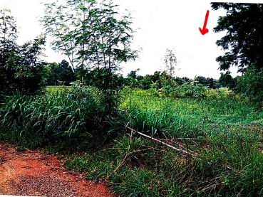 รูปที่ดินว่างเปล่า โนนกอก เกษตรสมบูรณ์ ชัยภูมิ