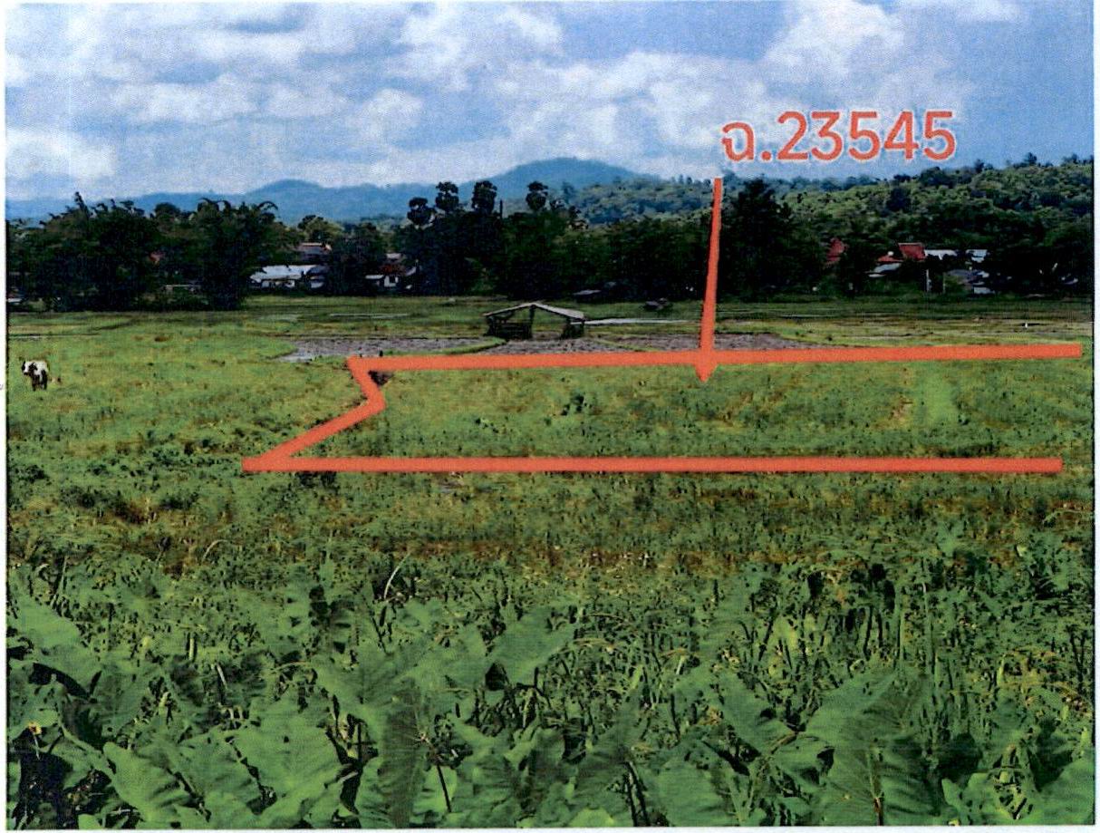 รูปที่ดินว่างเปล่า แจ้ซ้อน เมืองปาน ลำปาง