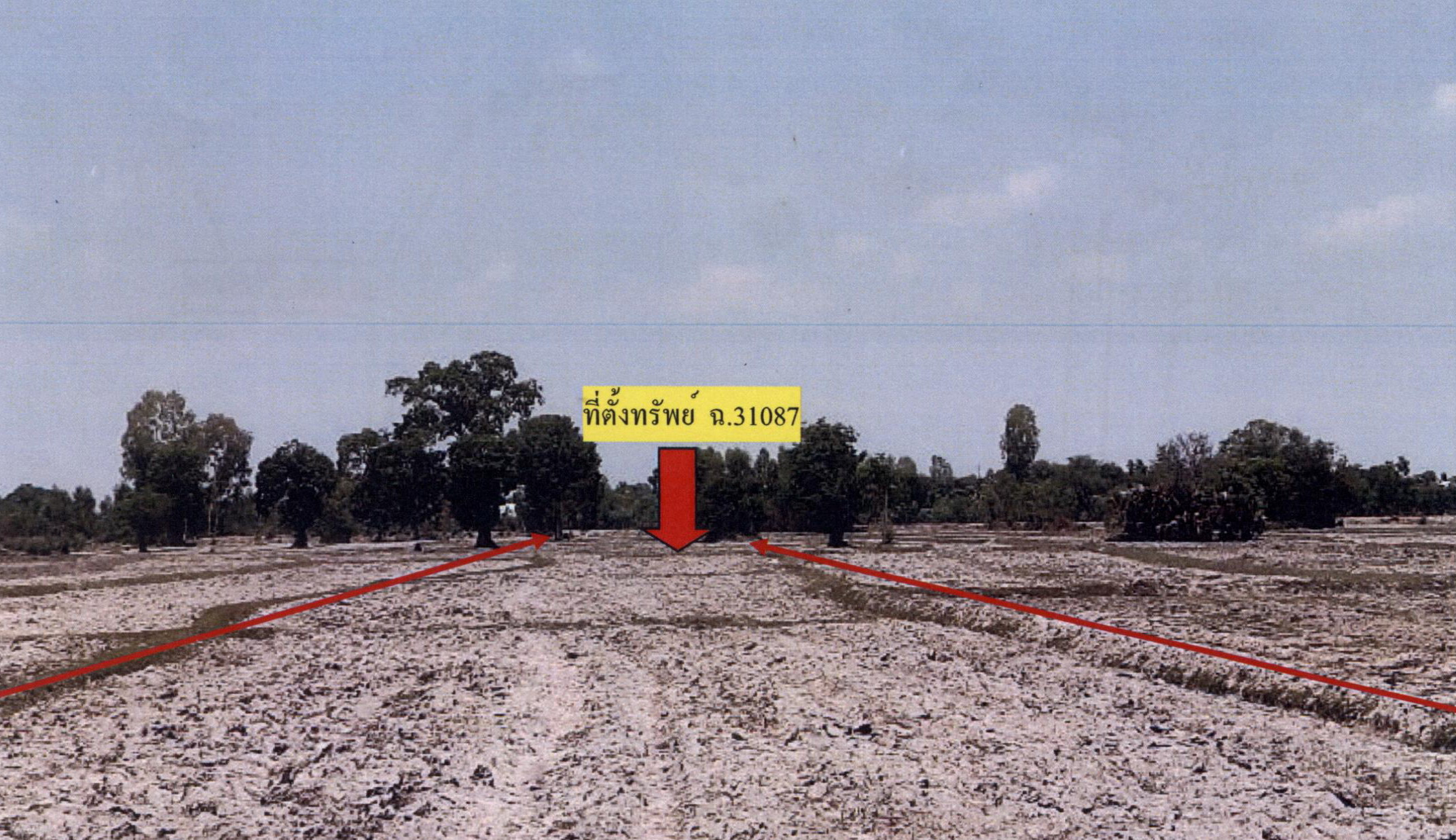 รูปที่ดินว่างเปล่า หนองไผ่ล้อม สำโรงทาบ สุรินทร์