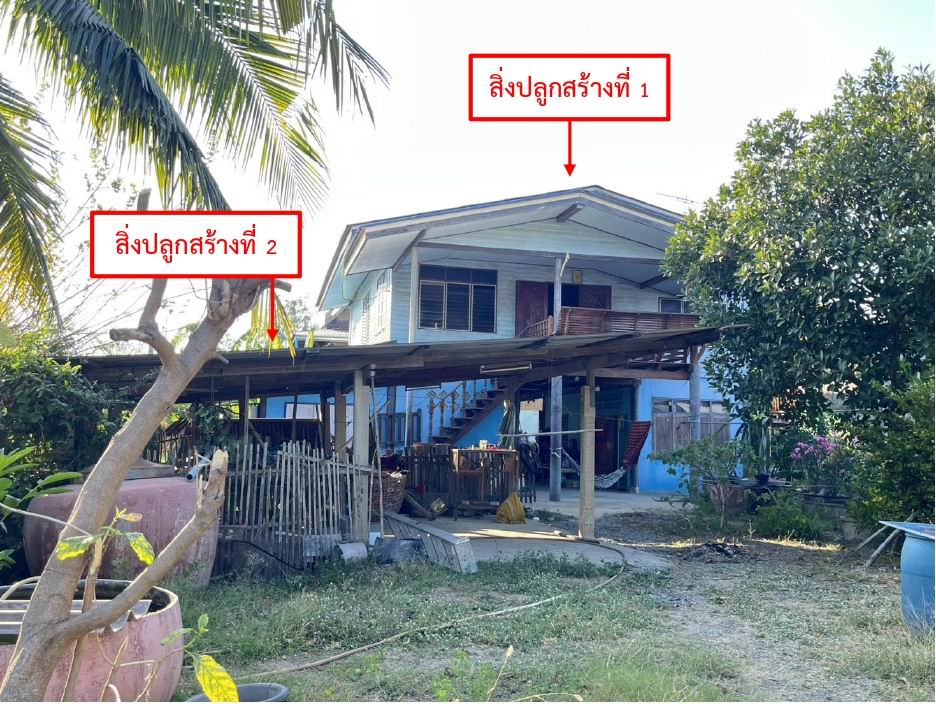 รูปที่ดินพร้อมสิ่งปลูกสร้าง ม่วงเตี้ย วิเศษชัยชาญ อ่างทอง