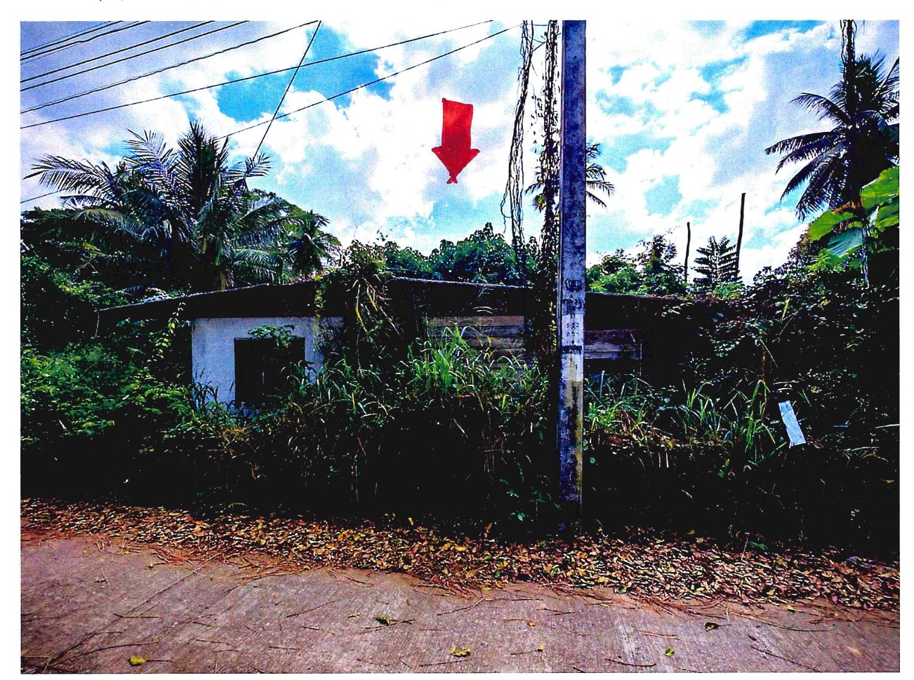 รูปที่ดินพร้อมสิ่งปลูกสร้าง ทุ่งกระเชาะ บ้านตาก ตาก