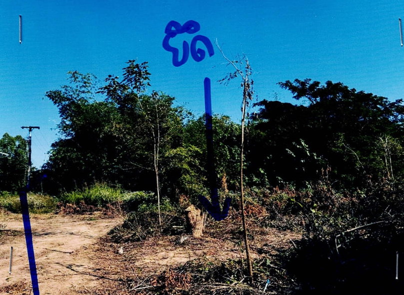รูปที่ดินว่างเปล่า บ้านใหม่ไชยมงคล ทุ่งเสลี่ยม สุโขทัย