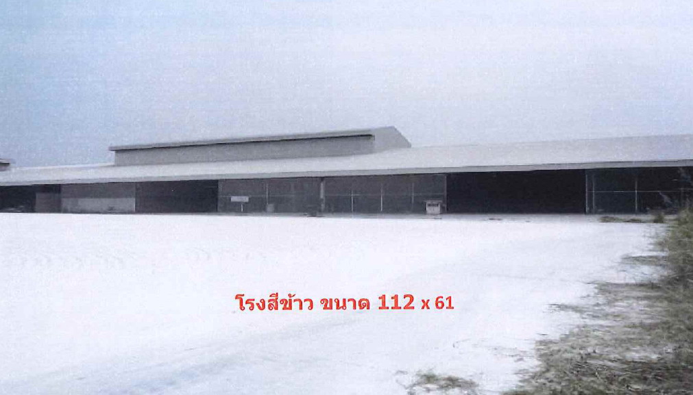 รูปที่ดินพร้อมสิ่งปลูกสร้าง โพชนไก่ บางระจัน สิงห์บุรี