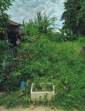 รูปที่ดินว่างเปล่า ท่าค้อ เมืองนครพนม นครพนม