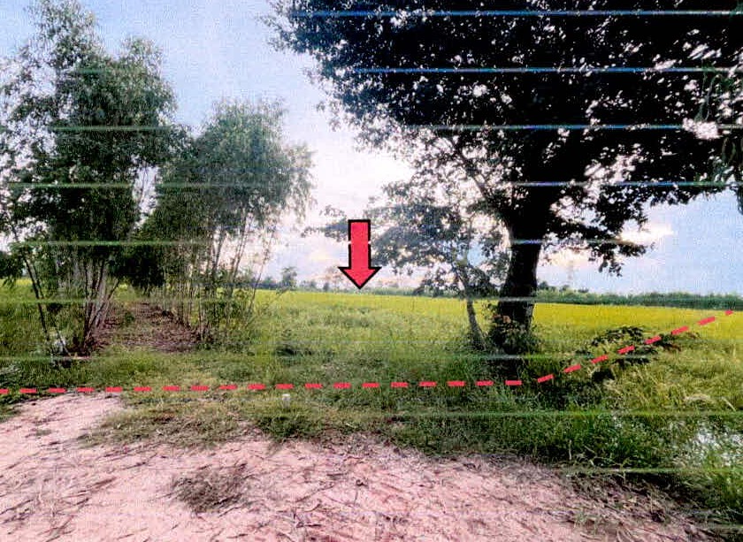 รูปที่ดินว่างเปล่า ตาอุด ขุขันธ์ ศรีสะเกษ