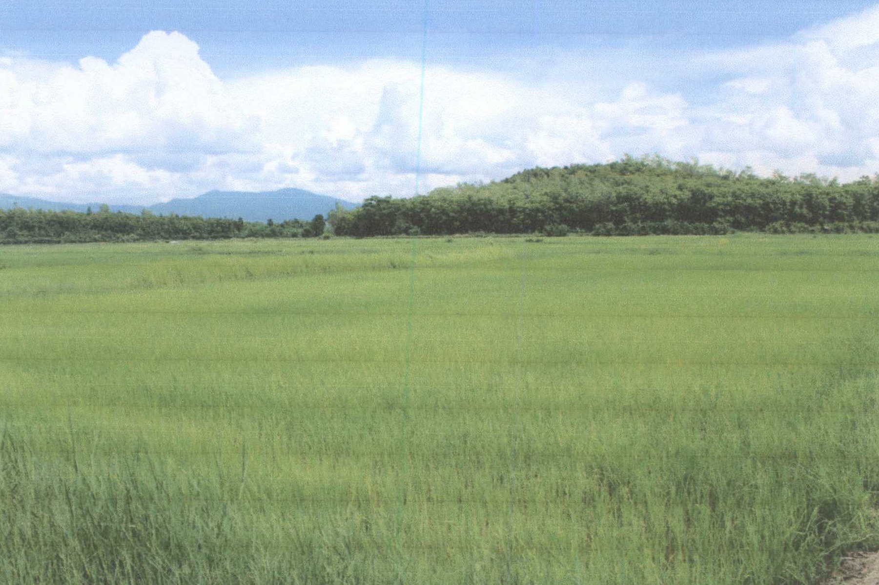รูปที่ดินว่างเปล่า เม็งราย พญาเม็งราย เชียงราย
