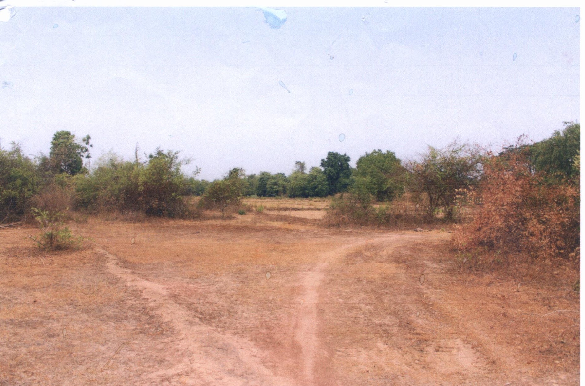 รูปที่ดินว่างเปล่า ร่องฟอง เมืองแพร่ แพร่