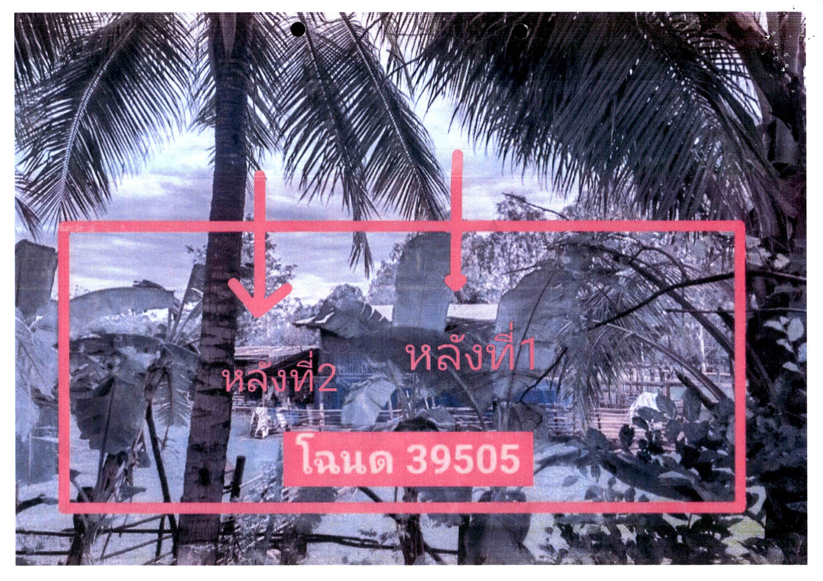 รูปที่ดินพร้อมสิ่งปลูกสร้าง นายาง พิชัย อุตรดิตถ์