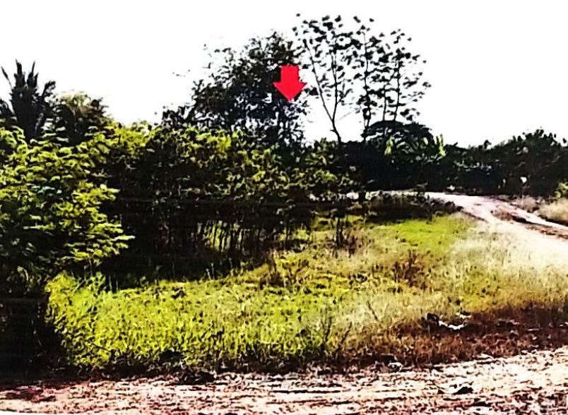 รูปที่ดินว่างเปล่า บ้านไร่ เมืองราชบุรี ราชบุรี