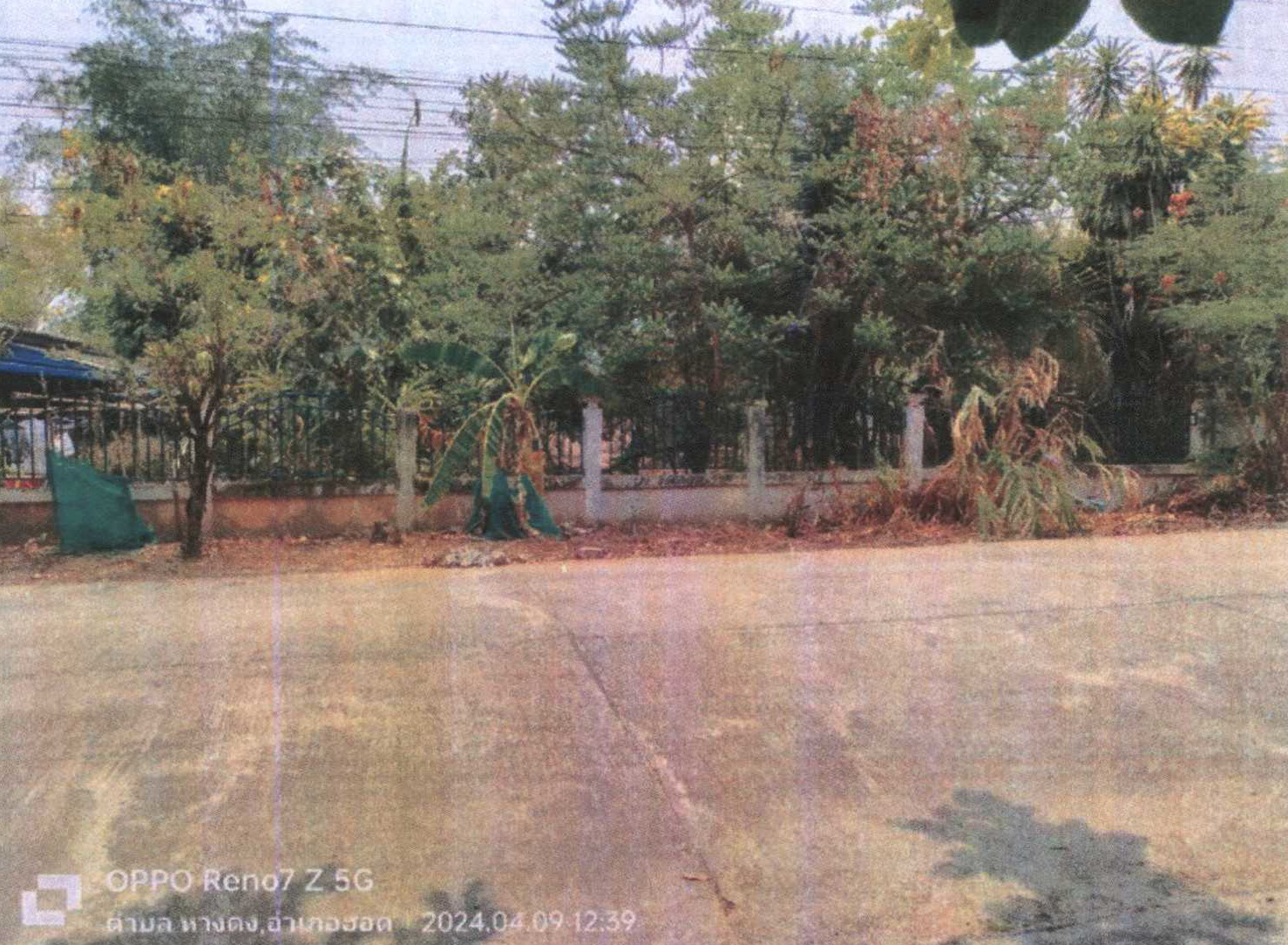 รูปที่ดินว่างเปล่า หางดง ฮอด เชียงใหม่