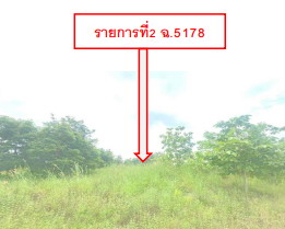 รูปที่ดินว่างเปล่า กลอนโด ด่านมะขามเตี้ย กาญจนบุรี