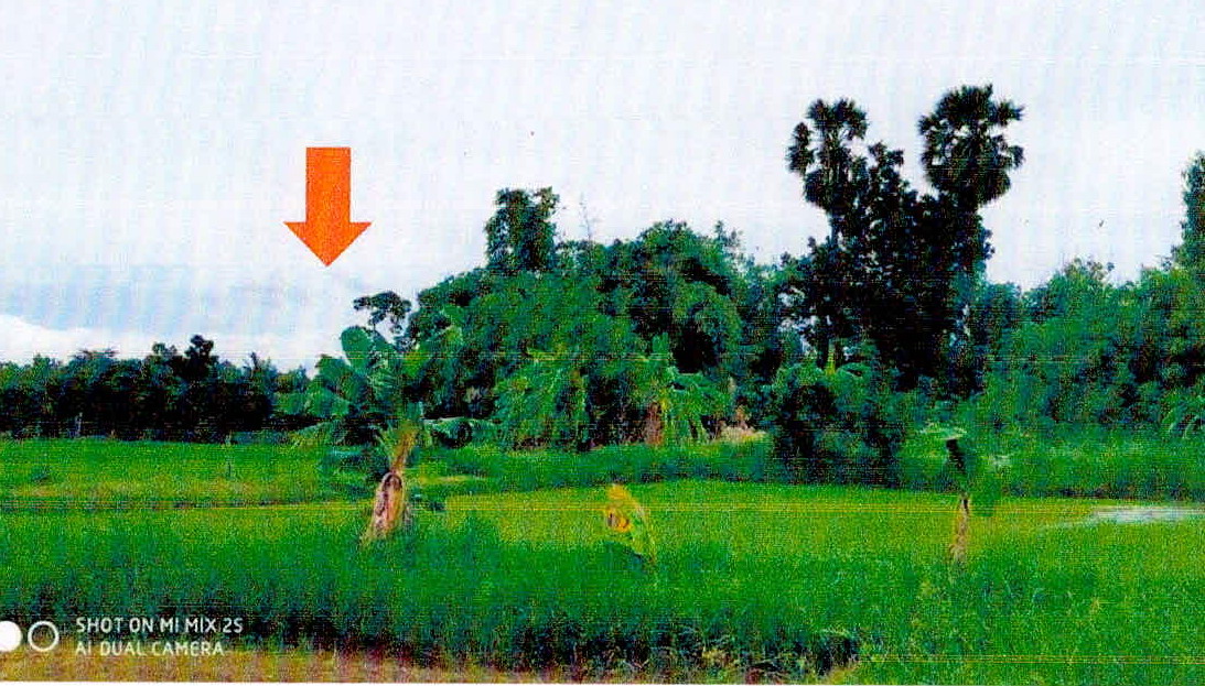 รูปที่ดินว่างเปล่า นาฝาย เมืองชัยภูมิ ชัยภูมิ