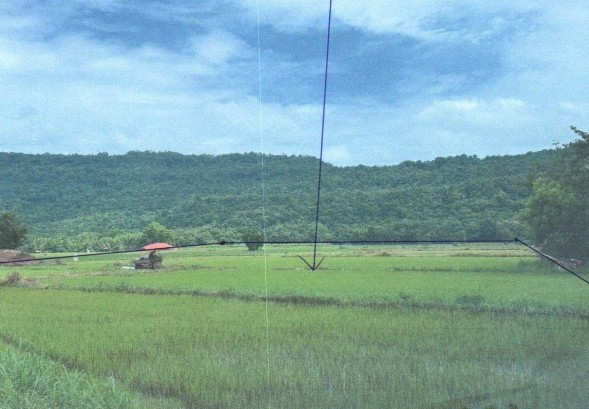 รูปที่ดินว่างเปล่า ท่าหมื่นราม วังทอง พิษณุโลก