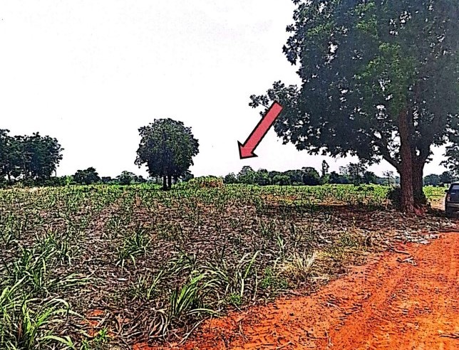 รูปที่ดินว่างเปล่า บ้านโคก มัญจาคีรี ขอนแก่น
