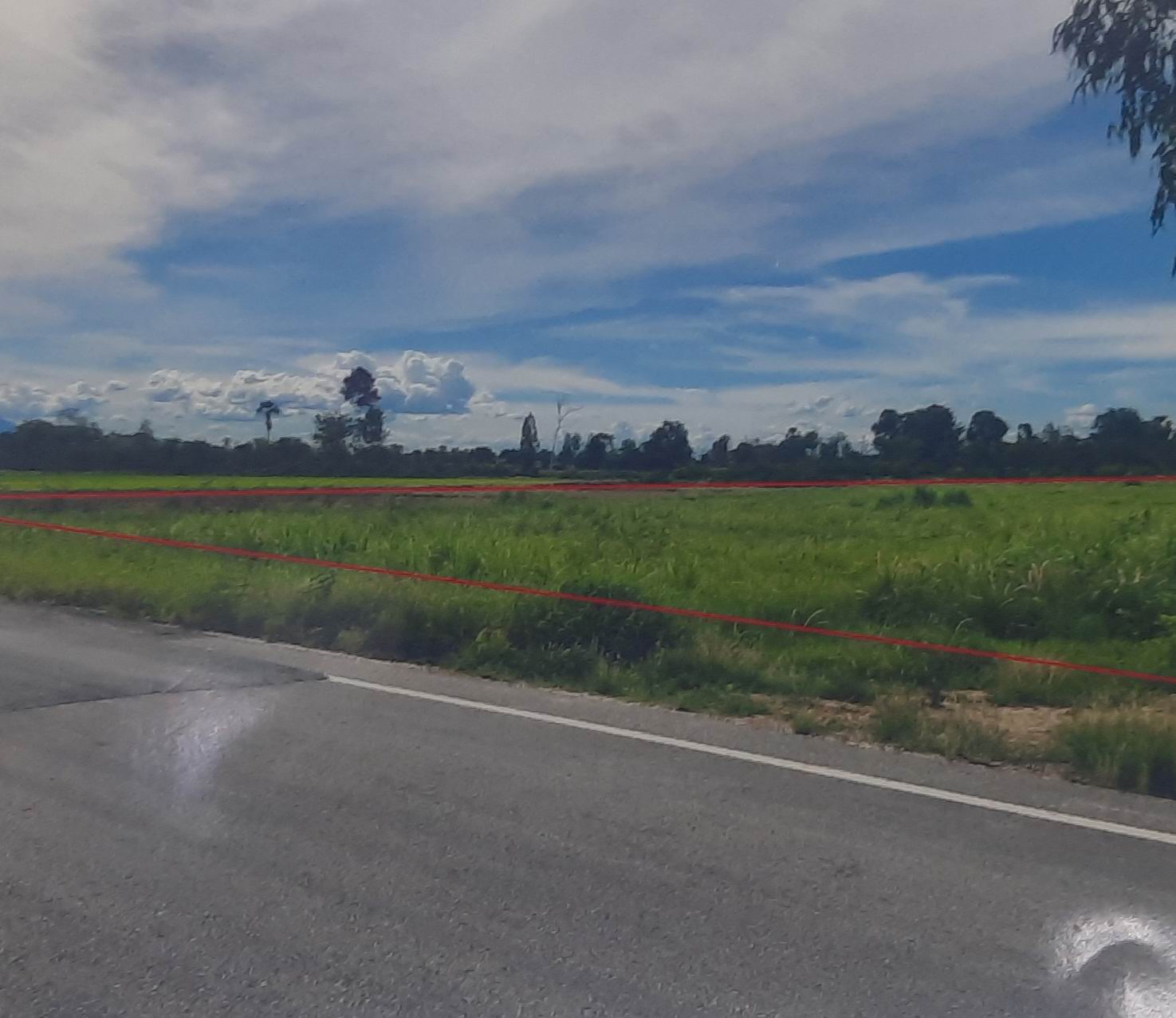 รูปที่ดินว่างเปล่า นิคมพัฒนา บางระกำ พิษณุโลก