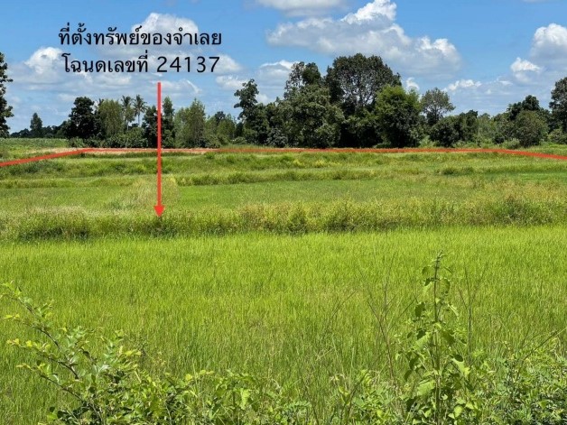 รูปที่ดินว่างเปล่า พระยืน พระยืน ขอนแก่น