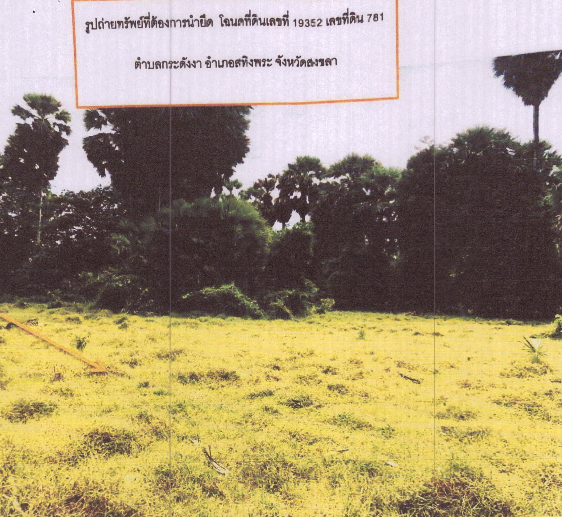 รูปที่ดินว่างเปล่า กระดังงา สทิงพระ สงขลา