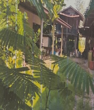 รูปที่ดินพร้อมสิ่งปลูกสร้าง โนนตาล เมืองร้อยเอ็ด ร้อยเอ็ด
