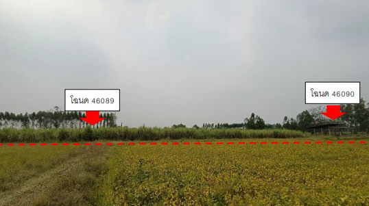 รูปที่ดินว่างเปล่า นิคมพัฒนา บางระกำ พิษณุโลก