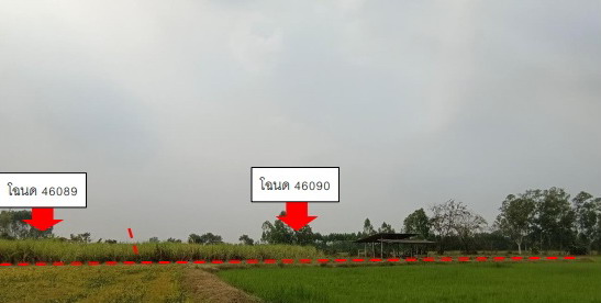 รูปที่ดินว่างเปล่า นิคมพัฒนา บางระกำ พิษณุโลก