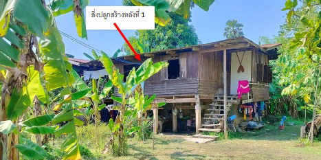 รูปที่ดินพร้อมสิ่งปลูกสร้าง โคกสลุด บางกระทุ่ม พิษณุโลก