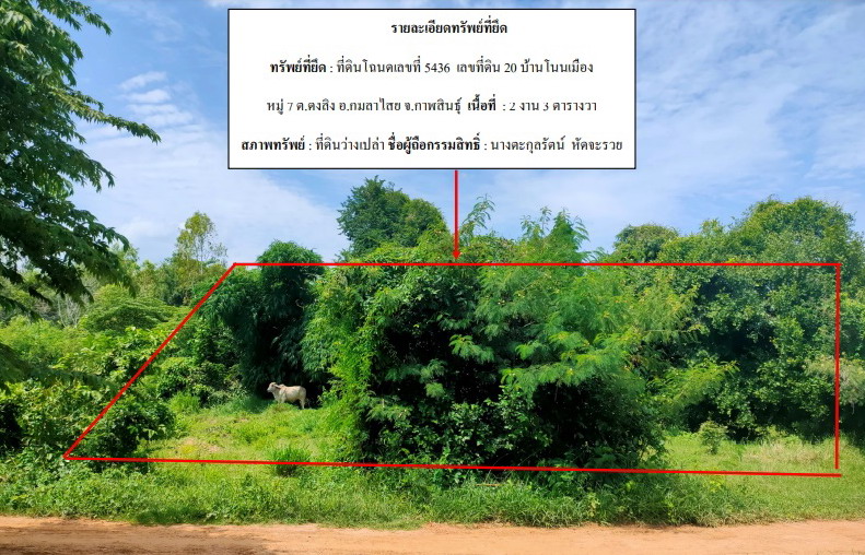 รูปที่ดินว่างเปล่า ดงลิง กมลาไสย กาฬสินธุ์