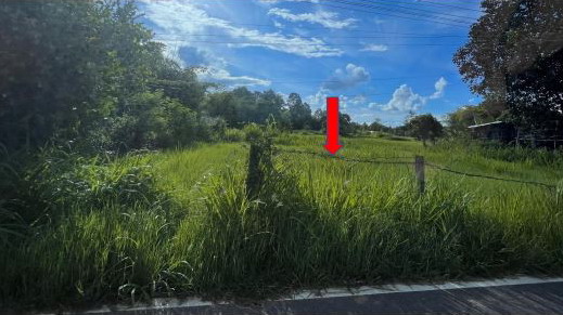 รูปที่ดินว่างเปล่า ดงบัง นาดูน มหาสารคาม