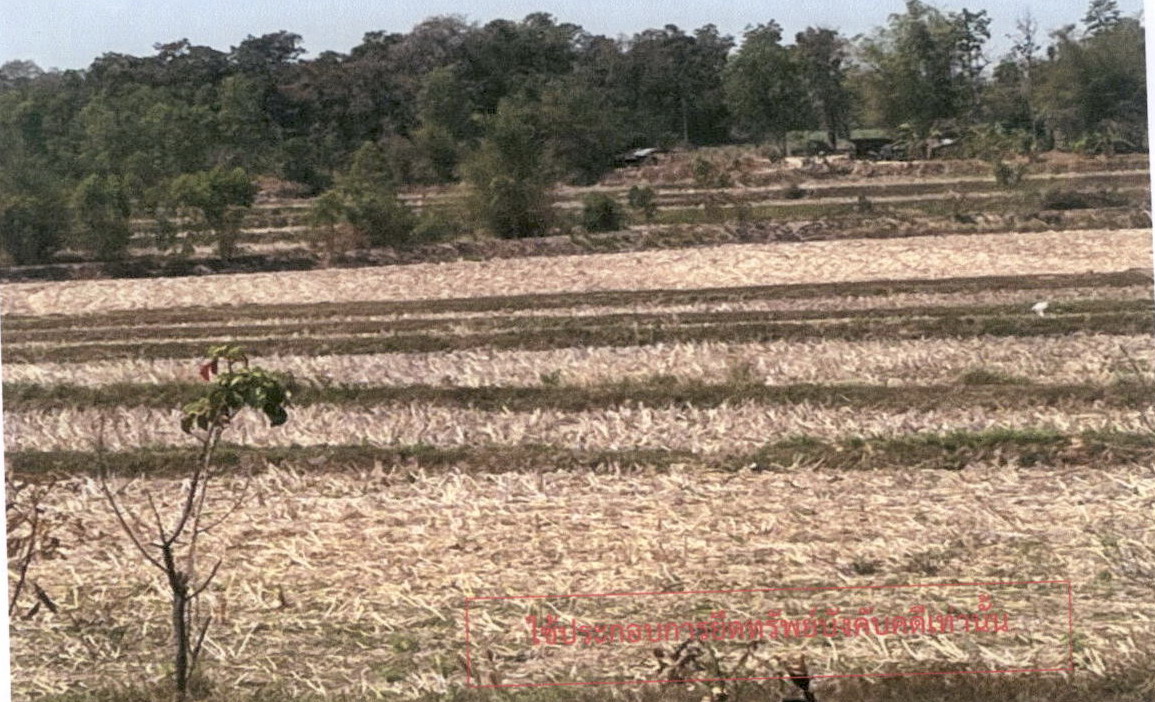 รูปที่ดินว่างเปล่า แจนแลน กุฉินารายณ์ กาฬสินธุ์