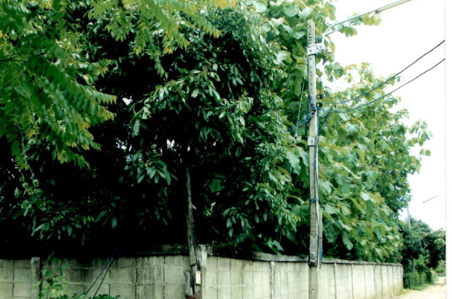 รูปที่ดินว่างเปล่า บ้านกาด สันป่าตอง เชียงใหม่