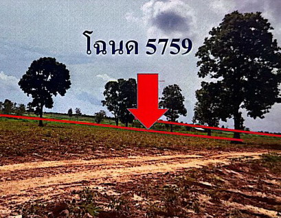 รูปที่ดินว่างเปล่า หนองหญ้าไซ วังสามหมอ อุดรธานี