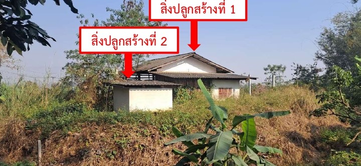 รูปที่ดินพร้อมสิ่งปลูกสร้าง แม่นะ เชียงดาว เชียงใหม่