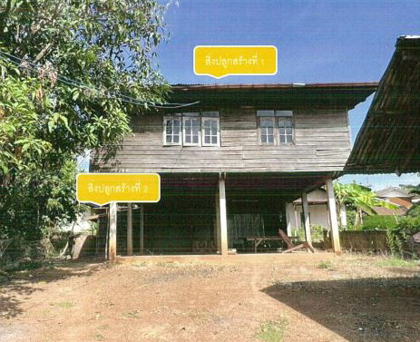 รูปที่ดินพร้อมสิ่งปลูกสร้าง หัวนาคำ ศรีธาตุ อุดรธานี