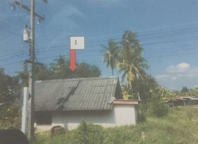 รูปที่ดินพร้อมสิ่งปลูกสร้าง บ้านป่า เมืองพิษณุโลก พิษณุโลก