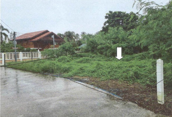 รูปที่ดินว่างเปล่า ป่าไผ่ สันทราย เชียงใหม่