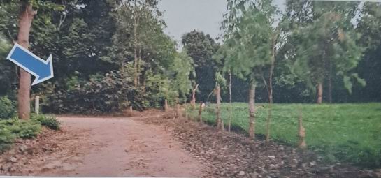 รูปที่ดินว่างเปล่า ปะอาว เมืองอุบลราชธานี อุบลราชธานี