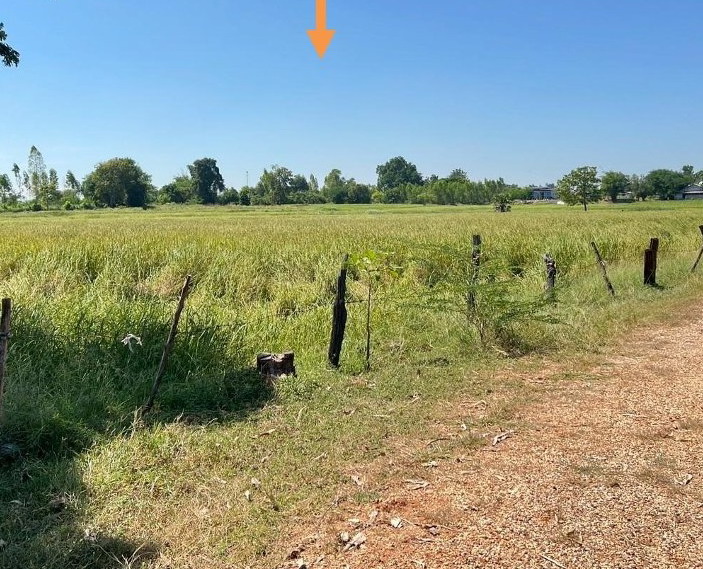 รูปที่ดินว่างเปล่า ท่าศาลา มัญจาคีรี ขอนแก่น
