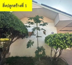 รูปที่ดินพร้อมสิ่งปลูกสร้าง ลำหนองแสน หนองกุงศรี กาฬสินธุ์