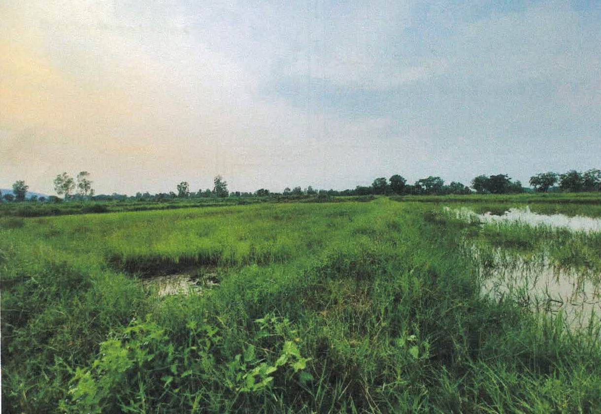 รูปที่ดินว่างเปล่า ศาลา เกาะคา ลำปาง