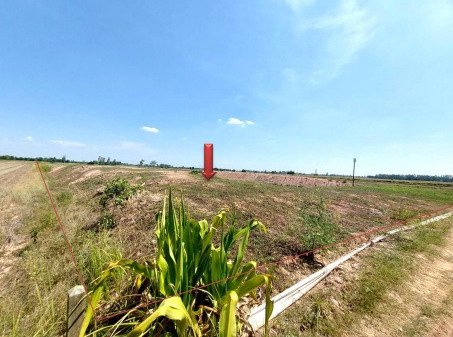 รูปที่ดินว่างเปล่า ท่าหมื่นราม วังทอง พิษณุโลก
