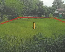 รูปที่ดินว่างเปล่า ฆ้องชัยพัฒนา ฆ้องชัย กาฬสินธุ์