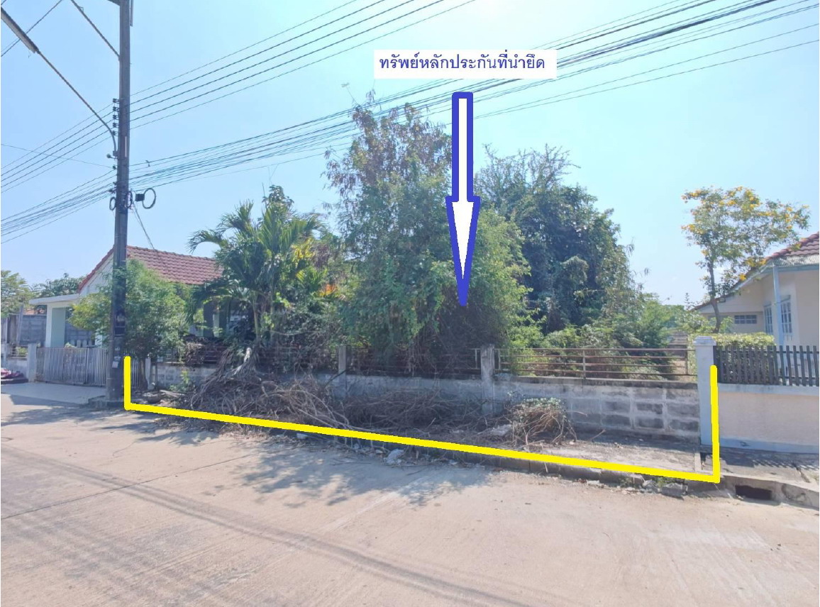 รูปที่ดินว่างเปล่า บึงทองหลาง ลำลูกกา ปทุมธานี