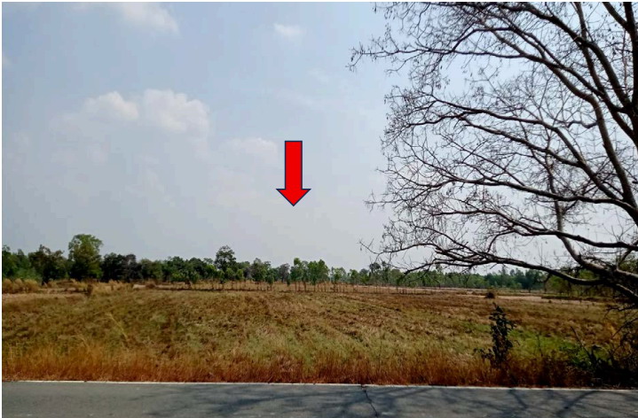 รูปที่ดินว่างเปล่า กลางใหญ่ เขื่องใน อุบลราชธานี