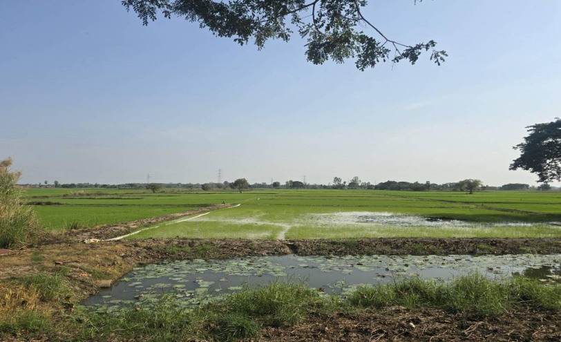 รูปที่ดินว่างเปล่า บ้านกร่าง เมืองพิษณุโลก พิษณุโลก