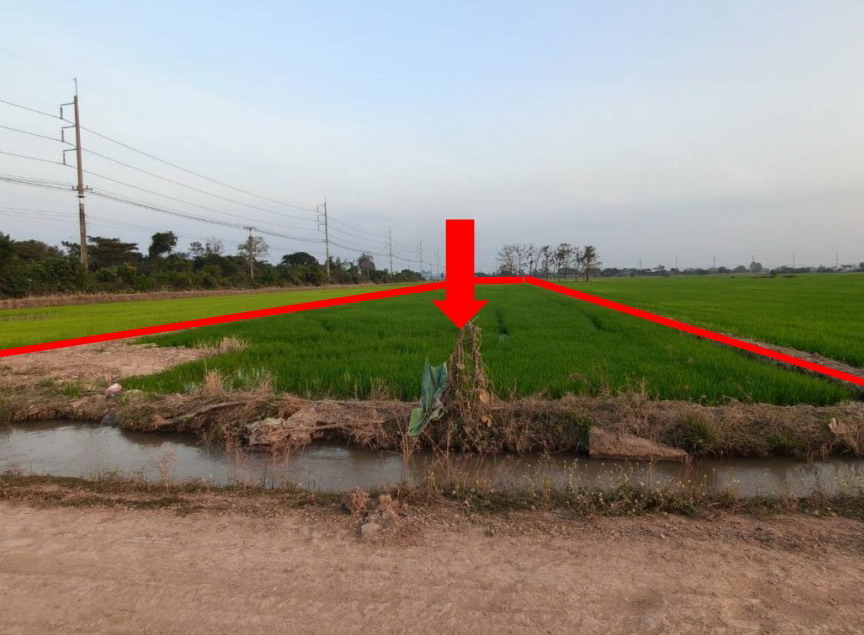 รูปที่ดินว่างเปล่า พรหมพิราม พรหมพิราม พิษณุโลก