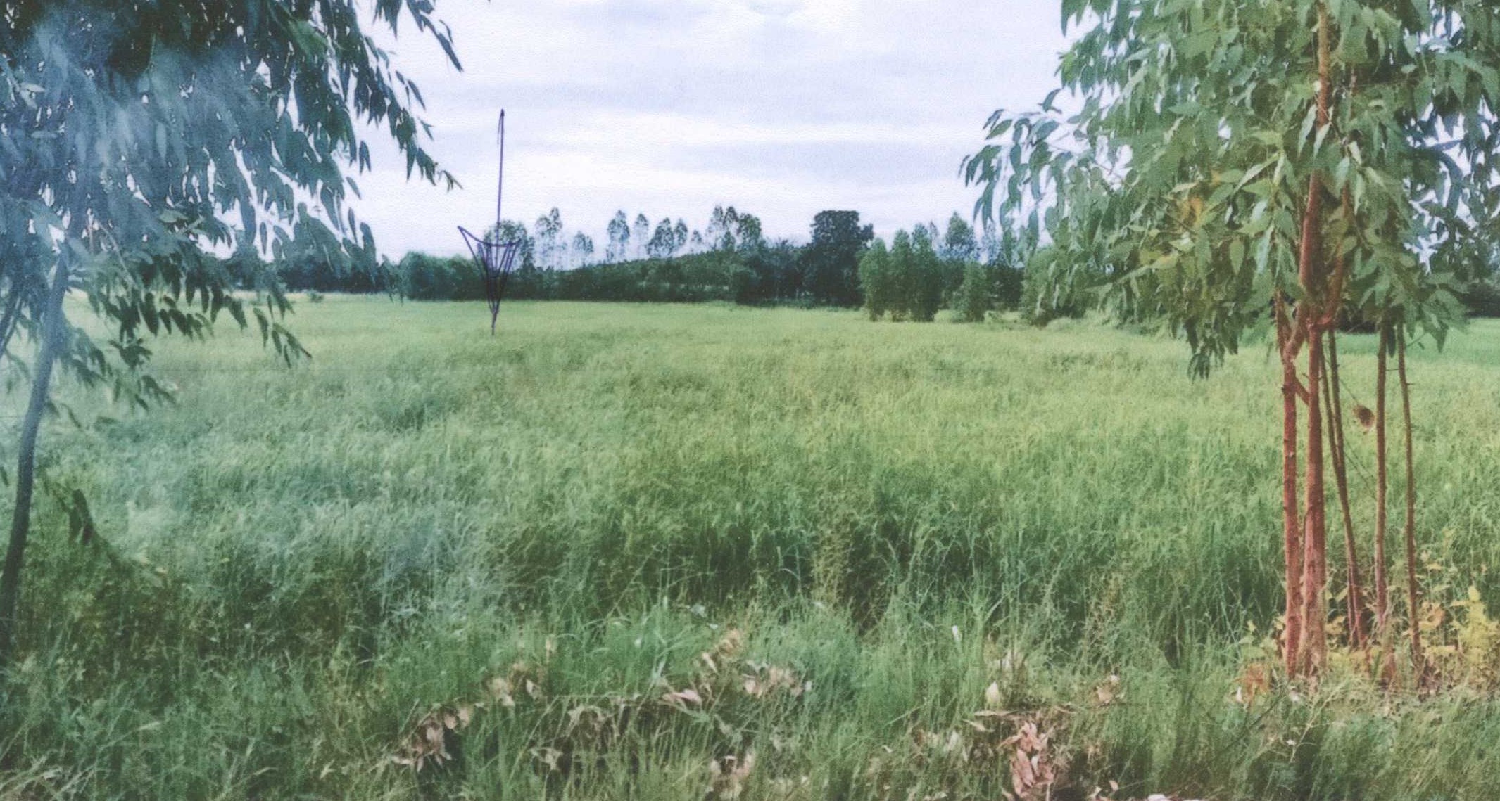 รูปที่ดินว่างเปล่า หนองขุ่นใหญ่ หนองพอก ร้อยเอ็ด