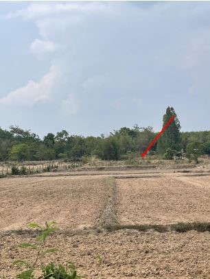 รูปที่ดินว่างเปล่า หนองอ้อ หนองวัวซอ อุดรธานี