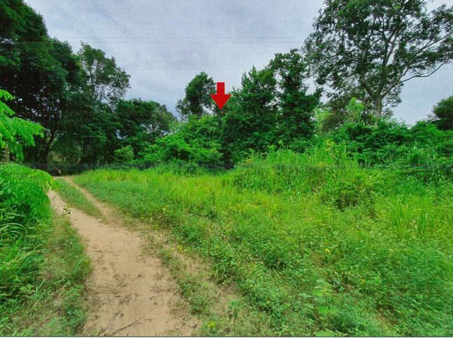 รูปที่ดินว่างเปล่า ดงเมือง ยางสีสุราช มหาสารคาม