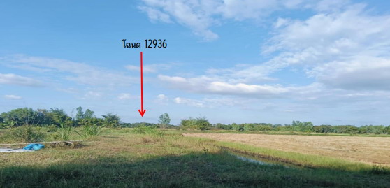 รูปที่ดินว่างเปล่า ยางโยภาพ ม่วงสามสิบ อุบลราชธานี