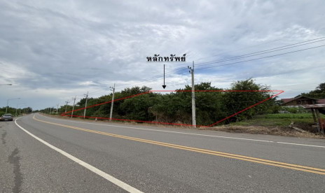 รูปที่ดินว่างเปล่า นายม เมืองเพชรบูรณ์ เพชรบูรณ์